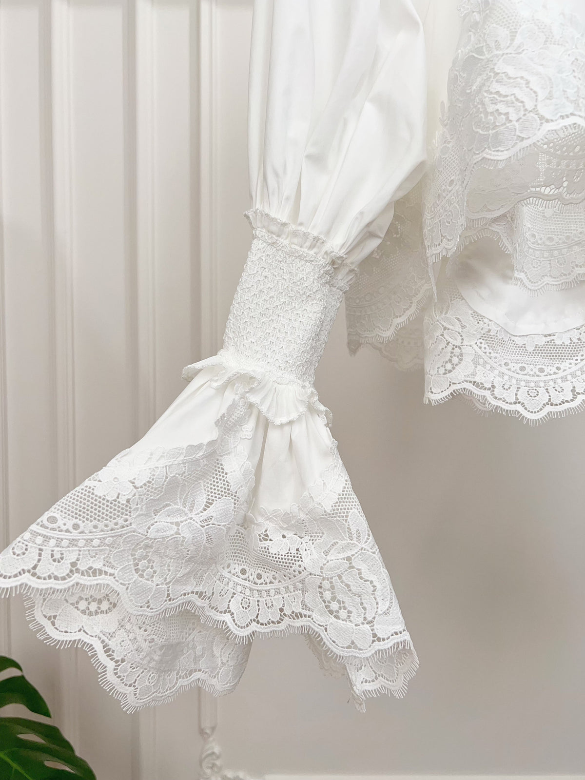 Vintage Soft Lace Lapel Collar Long Sleeve Blouse