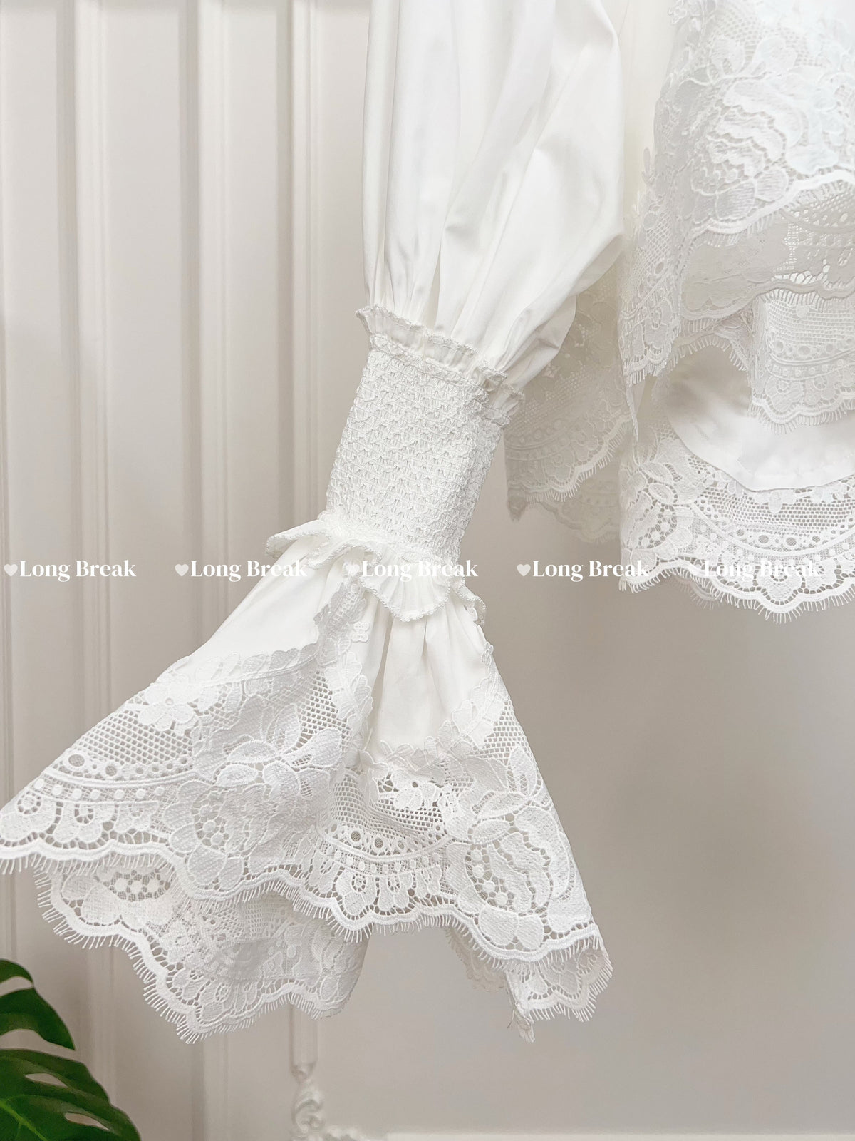 Vintage Soft Lace Lapel Collar Long Sleeve Blouse